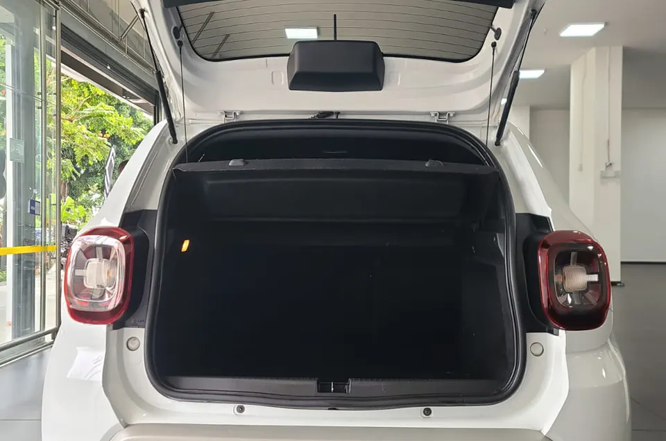 DUSTER INTENS ULC 10