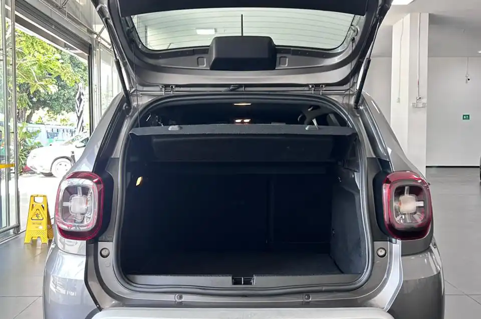 DUSTER INTENS ULC 2 5